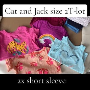 Cat & Jack Pink, Magenta, Peach & Light Blue Short Sleeve Tee Lot